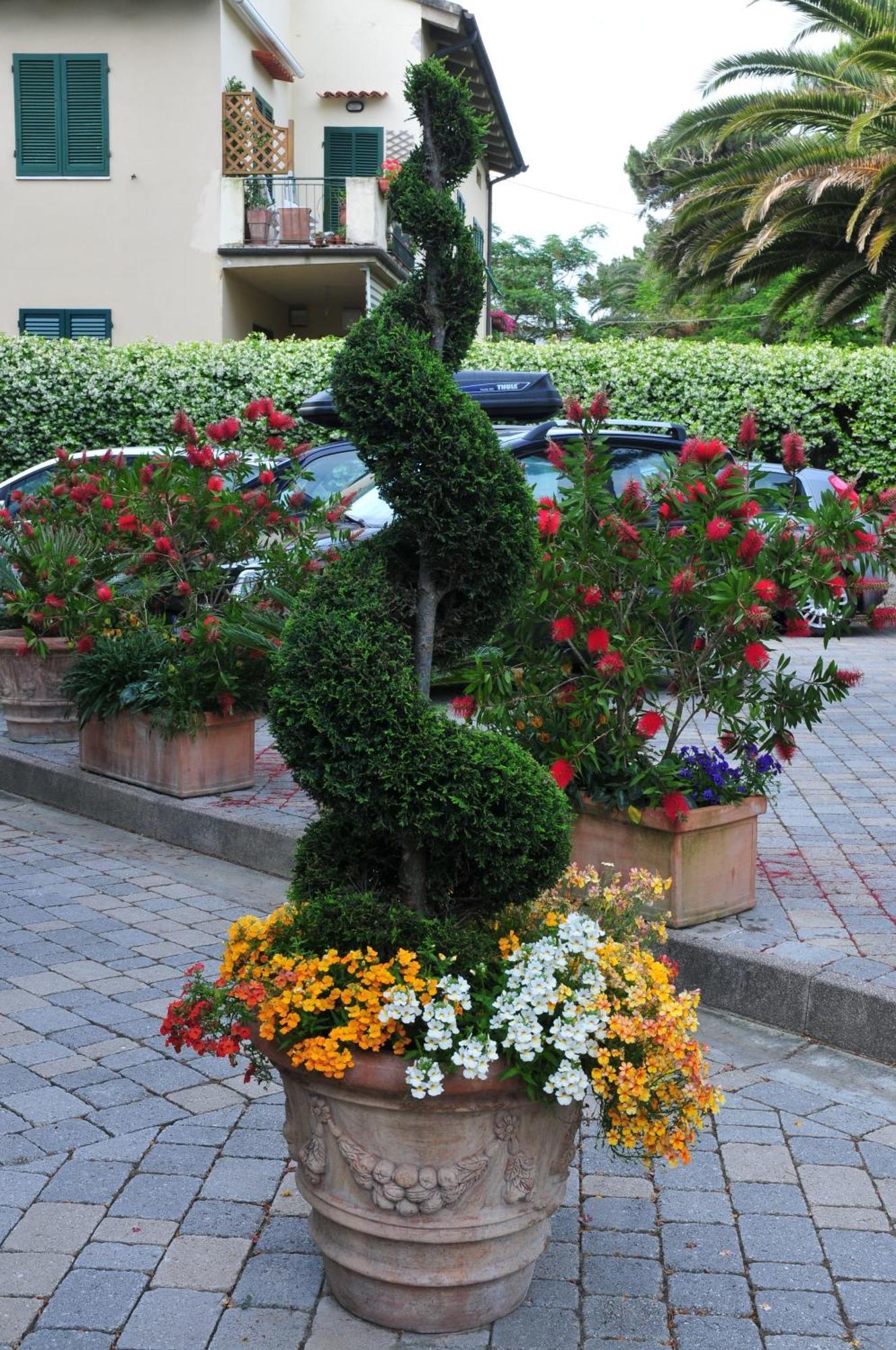 Hotel Riviera Blu Tirrenia Zewnętrze zdjęcie